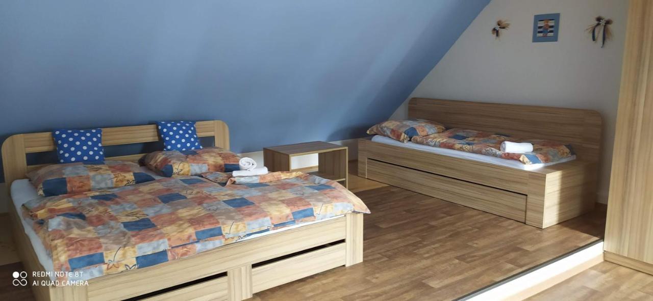 Apartmany Natalie Dvory nad Luznici Extérieur photo