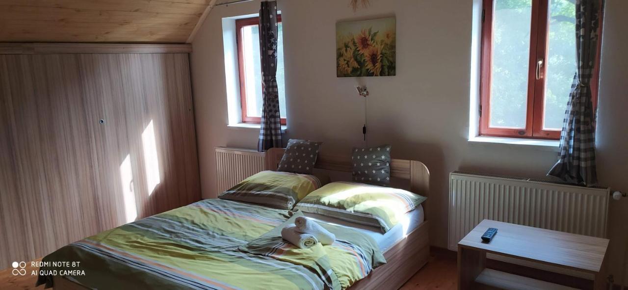 Apartmany Natalie Dvory nad Luznici Extérieur photo