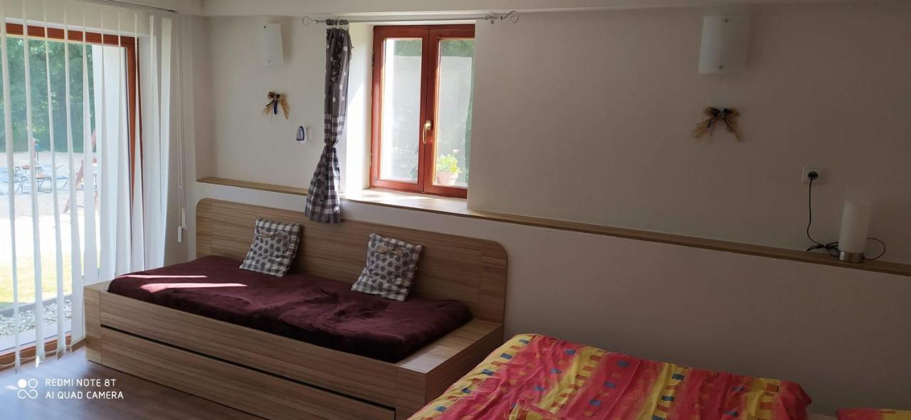 Apartmany Natalie Dvory nad Luznici Extérieur photo
