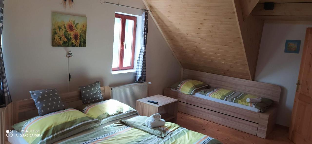 Apartmany Natalie Dvory nad Luznici Extérieur photo
