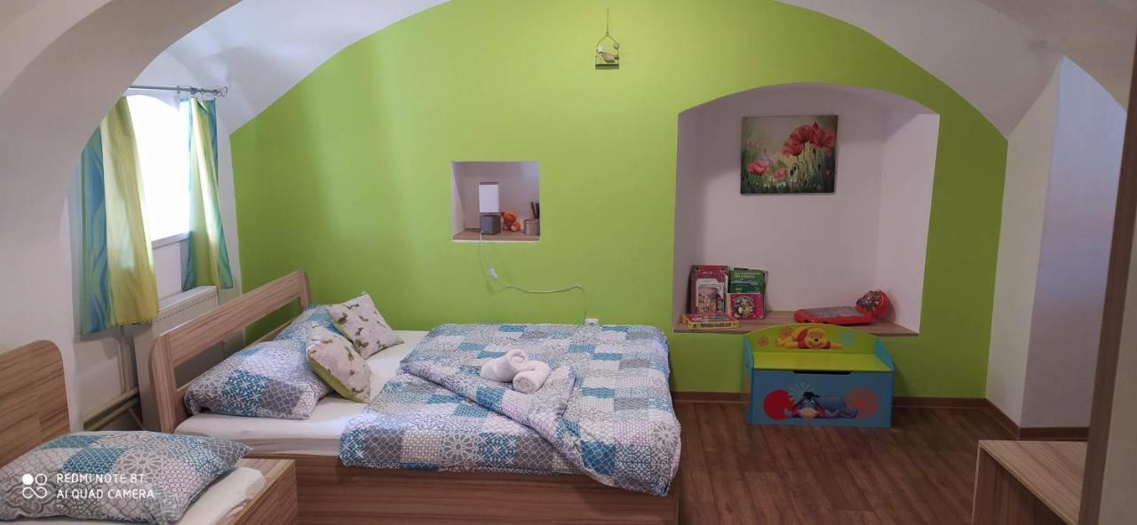 Apartmany Natalie Dvory nad Luznici Extérieur photo
