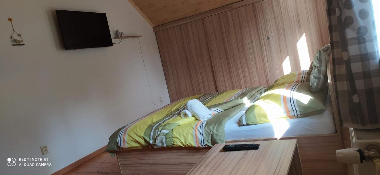 Apartmany Natalie Dvory nad Luznici Extérieur photo