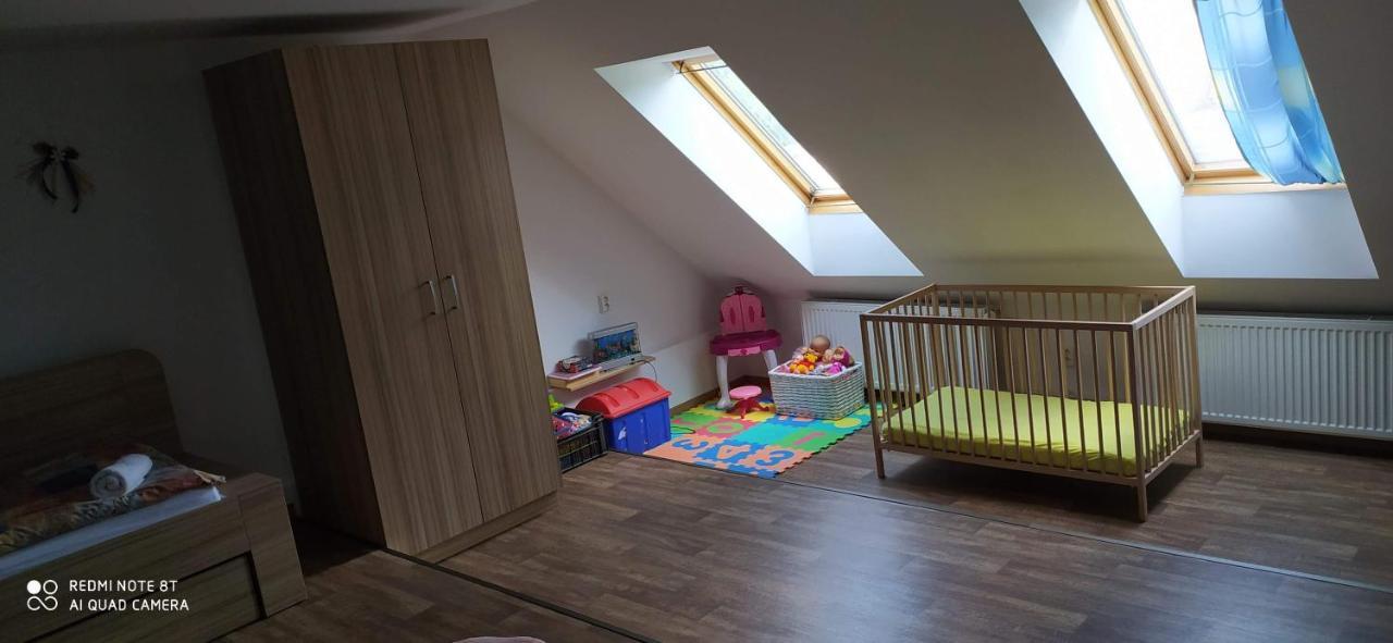 Apartmany Natalie Dvory nad Luznici Extérieur photo
