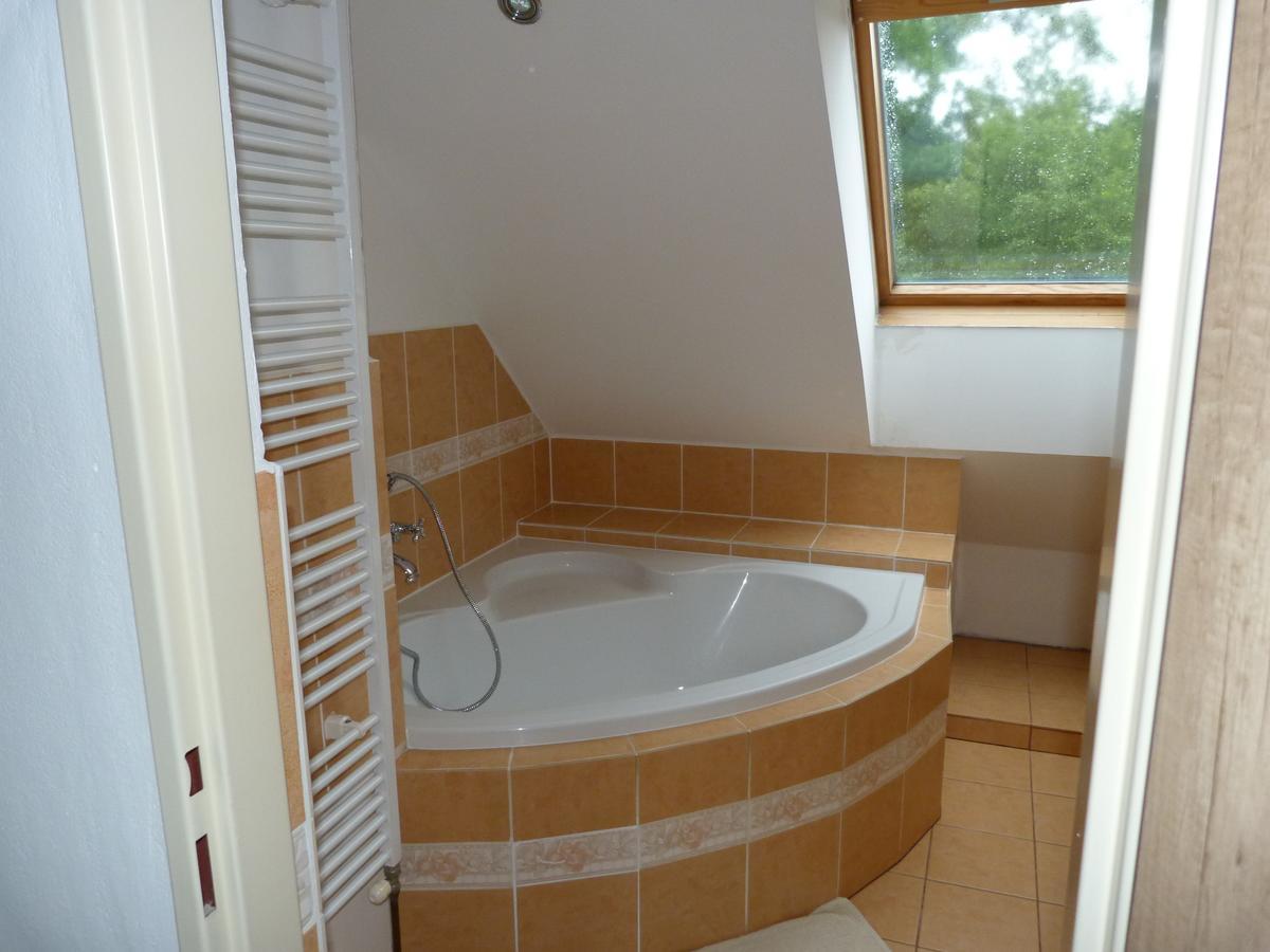 Apartmany Natalie Dvory nad Luznici Extérieur photo
